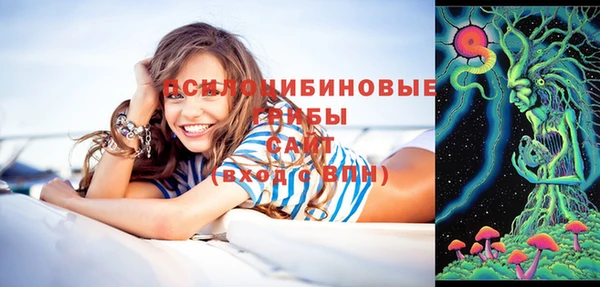 кристаллы Краснослободск
