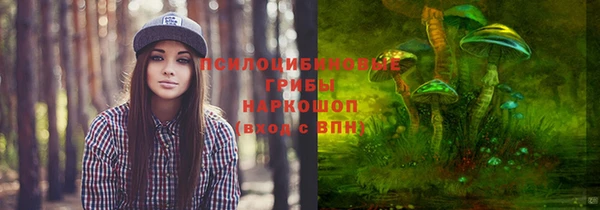 кристаллы Краснослободск