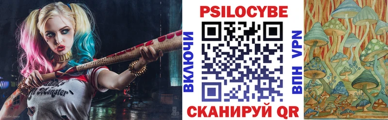 shop как зайти  Суоярви  Псилоцибиновые грибы Psilocybe 